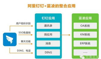 藍(lán)凌徐霞 互聯(lián)網(wǎng)產(chǎn)品，讓用戶覺得“爽”，應(yīng)用方有“戲”
